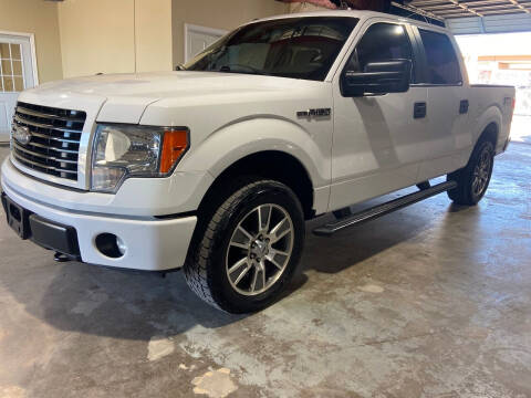 2014 Ford F-150 for sale at Safe Trip Auto Sales in Dallas TX
