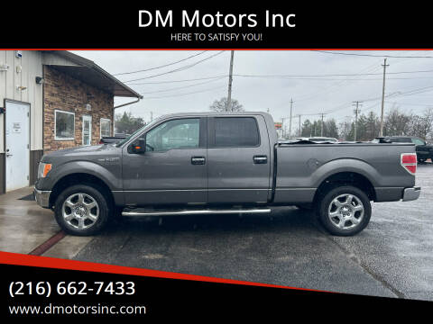 2014 Ford F-150 for sale at DM Motors Inc in Maple Heights OH