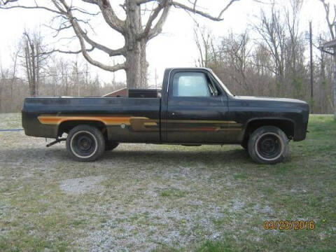 1976 Chevrolet Silverado 1500 SS Classic