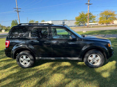 2011 Ford Escape XLT