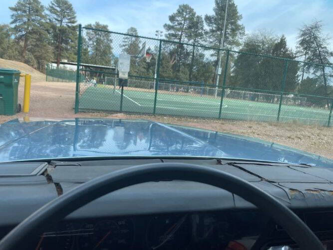 1985 Pontiac Parisienne