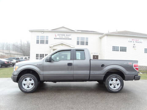 2009 Ford F-150 for sale at SOUTHERN SELECT AUTO SALES in Medina OH