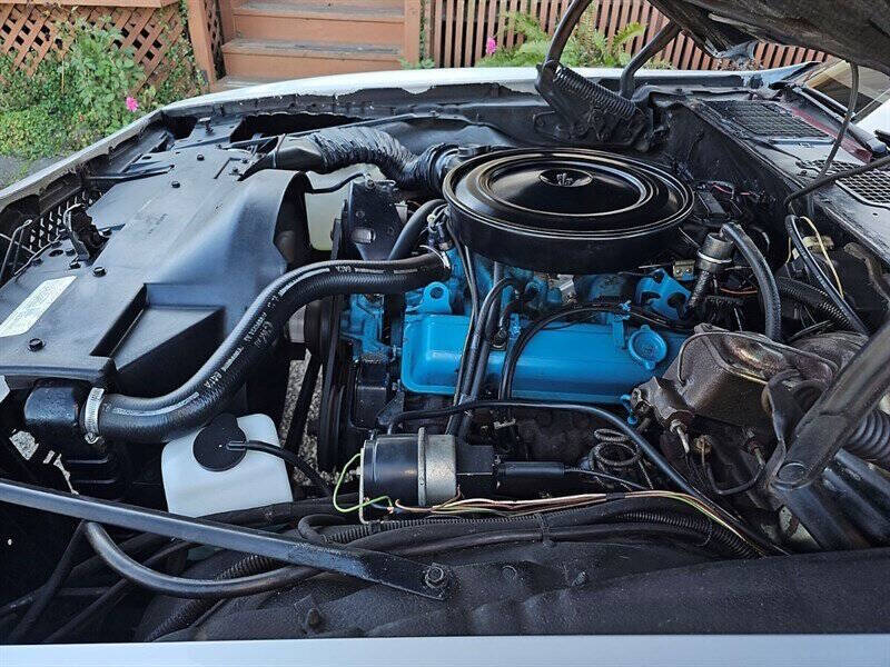 1978 Pontiac Firebird