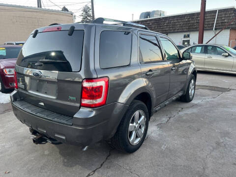 2011 Ford Escape Limited