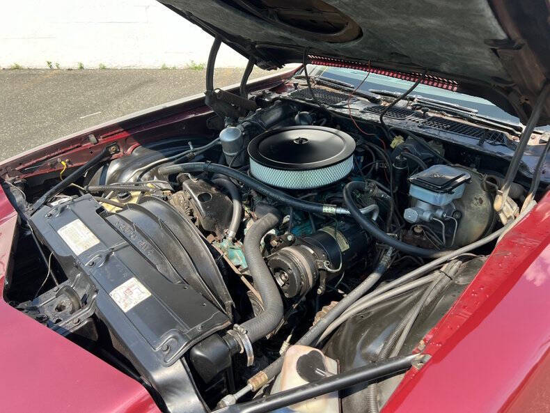 1981 Chevrolet Camaro Z28