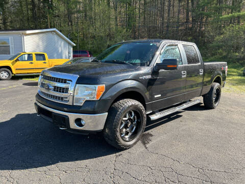 2014 Ford F-150 for sale at Riley Auto Sales LLC in Nelsonville OH