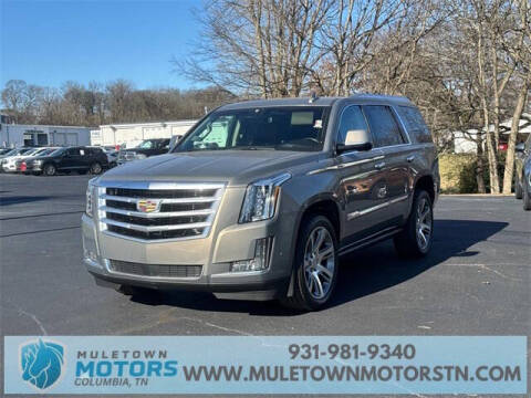 2017 Cadillac Escalade for sale at Muletown Motors in Columbia TN