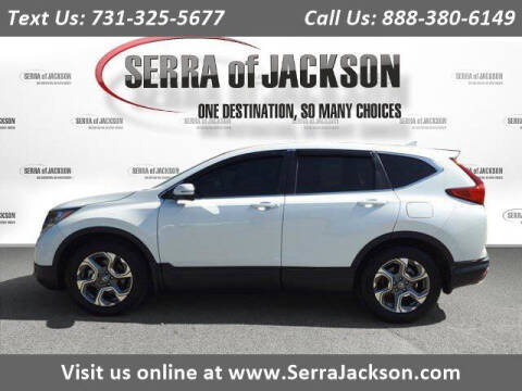 2019 Honda CR-V for sale at Serra Of Jackson in Jackson TN