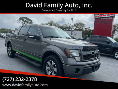 2013 Ford F-150 for sale at David Family Auto, Inc. in New Port Richey FL