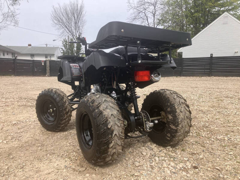 2016 Tao Tao Rhino 250