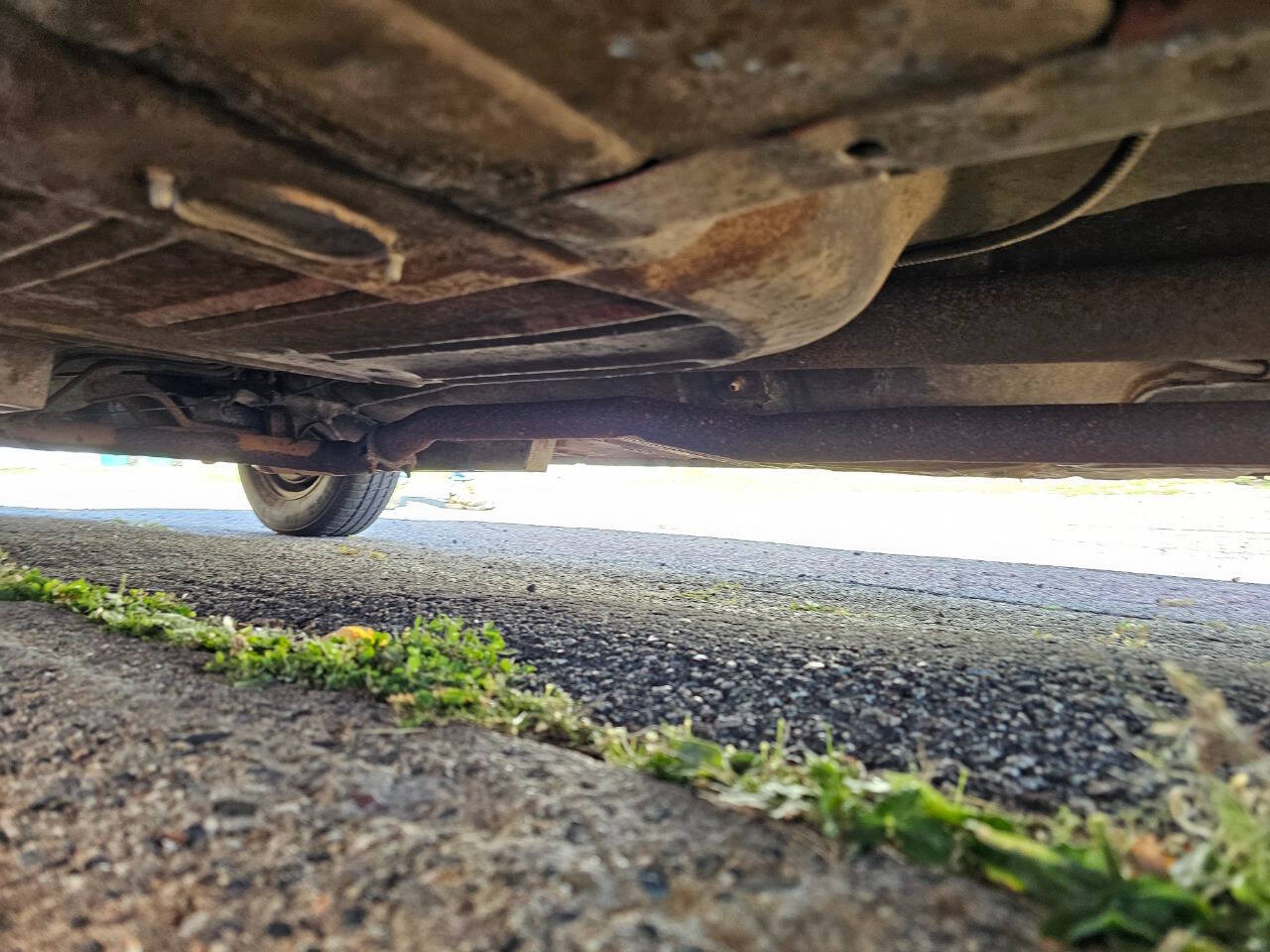 1964 Ford Mustang 217