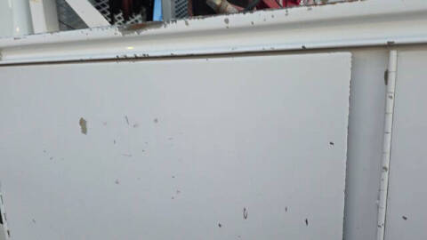 2012 International TerraStar