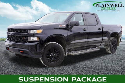 2019 Chevrolet Silverado 1500 for sale at Zeigler Ford of Plainwell in Plainwell MI