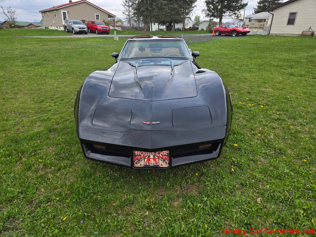 1981 Chevrolet Corvette 19