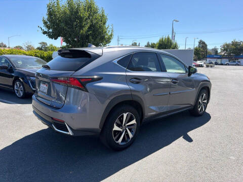 2020 Lexus NX 300h