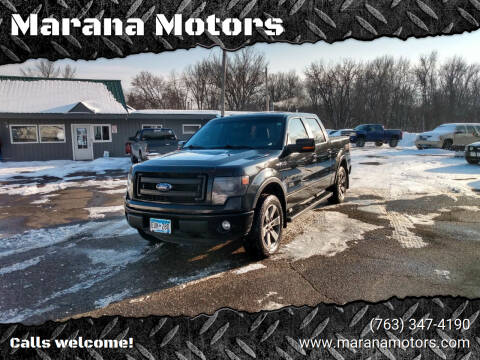 2014 Ford F-150 for sale at Marana Motors in Princeton MN