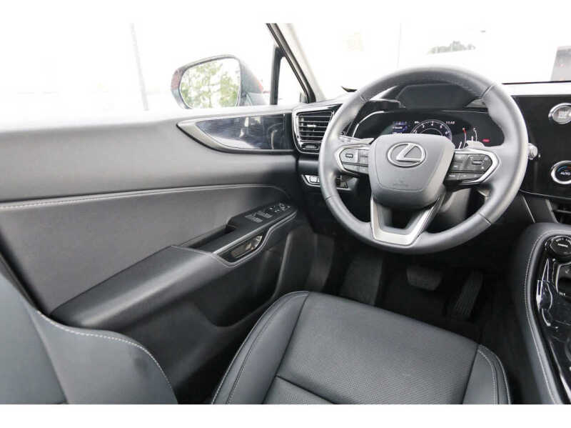 2025 Lexus NX 250