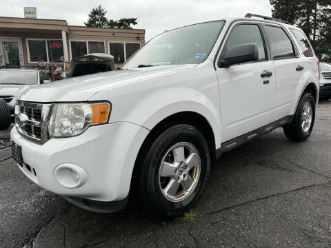 2011 Ford Escape XLT