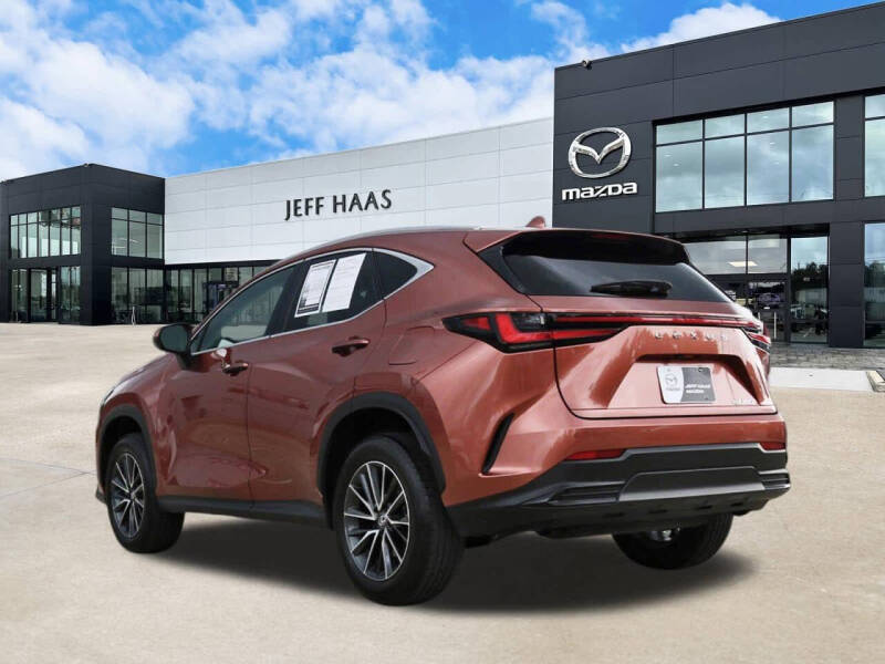 2025 Lexus NX 250