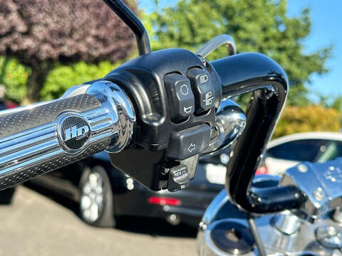 2021 Harley-Davidson Softail