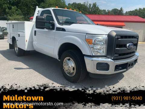 2016 Ford F-350 Super Duty for sale at Muletown Motors in Columbia TN