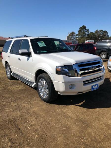 2013 Ford Expedition for sale at Lake Herman Auto Sales in Madison SD