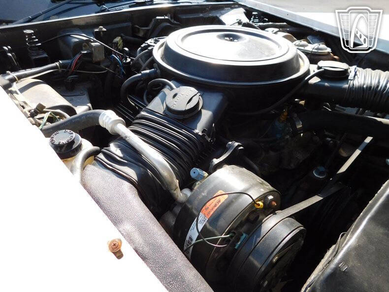 1979 Chevrolet Corvette