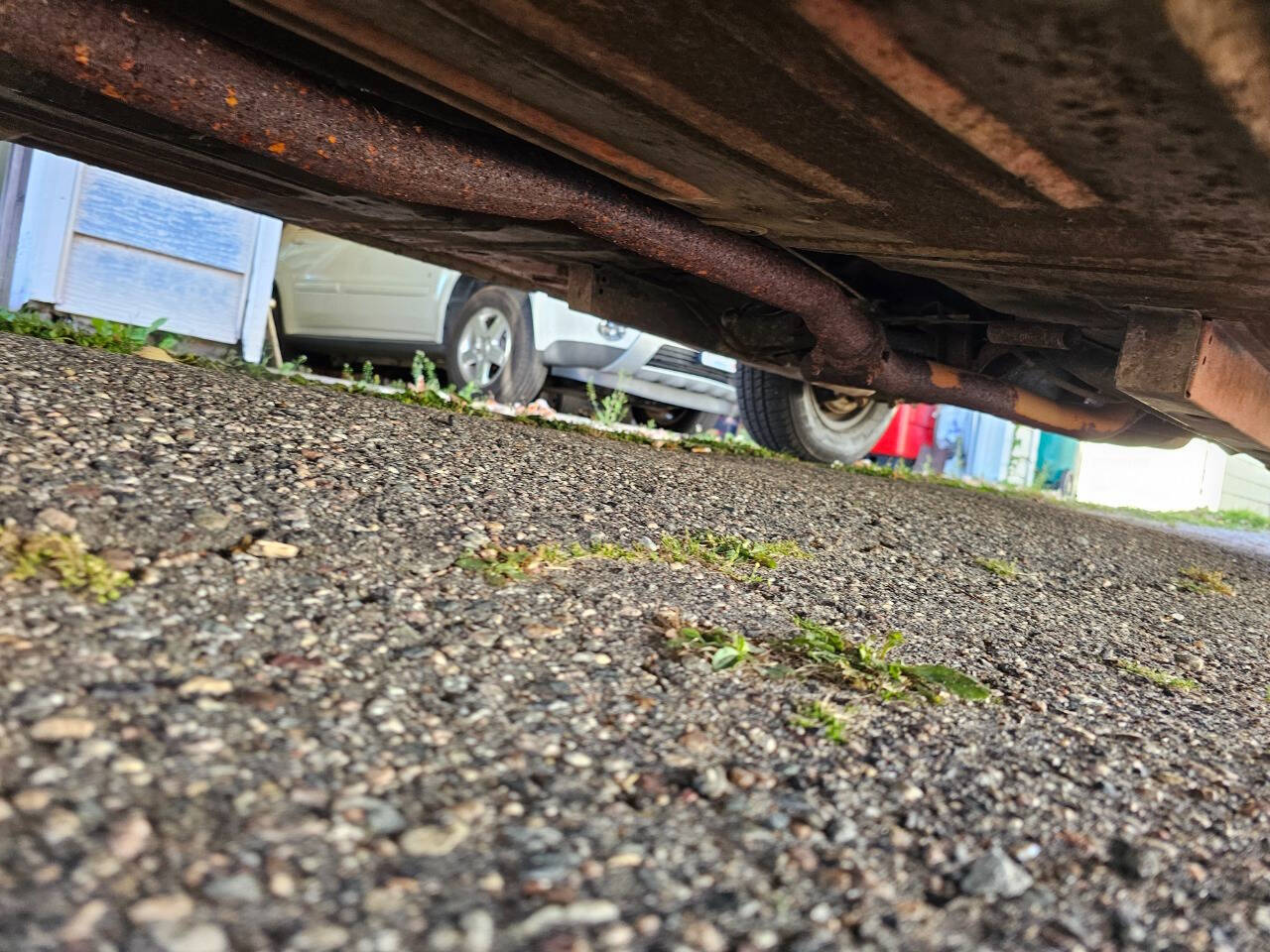 1964 Ford Mustang 206