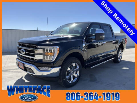 2023 Ford F-150 for sale at Whiteface Ford in Hereford TX