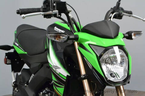 2018 Kawasaki Z125 Pro