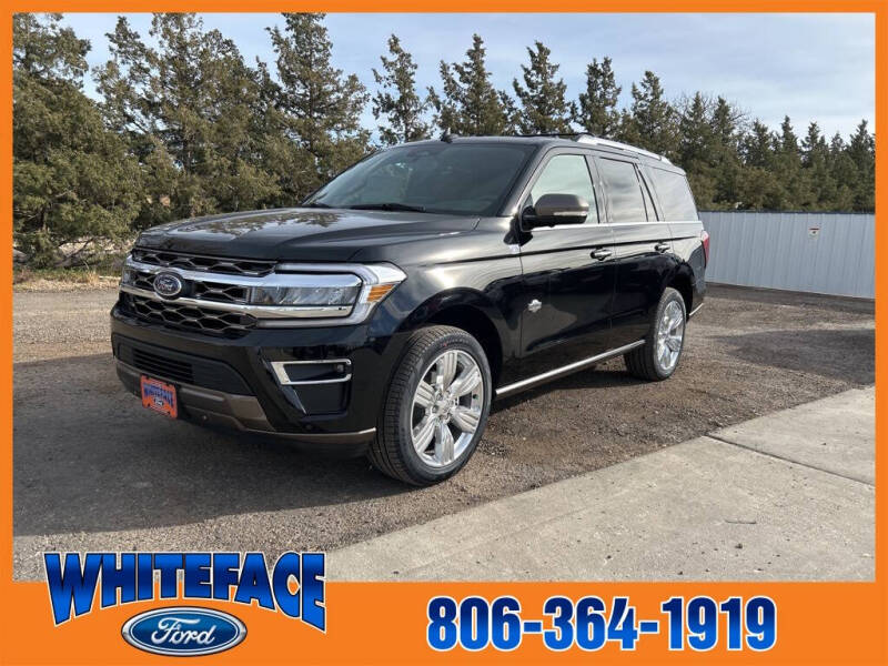 2024 Ford Expedition for sale at Whiteface Ford in Hereford TX