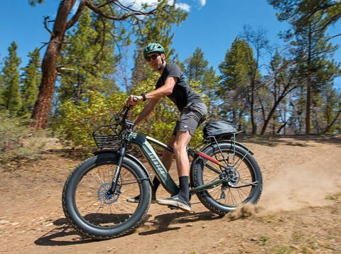 2023 AVENTON EBIKE AVENTURE LARGE for sale at Dukes Automotive LLC in Lancaster SC