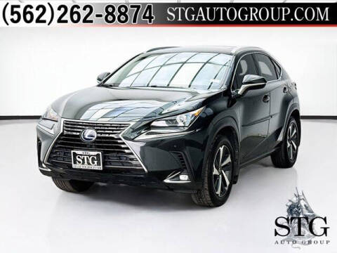 2020 Lexus NX 300h
