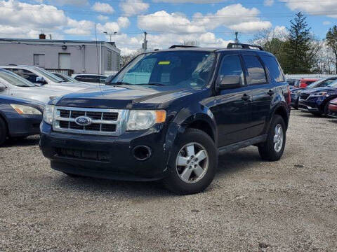 2010 Ford Escape XLT