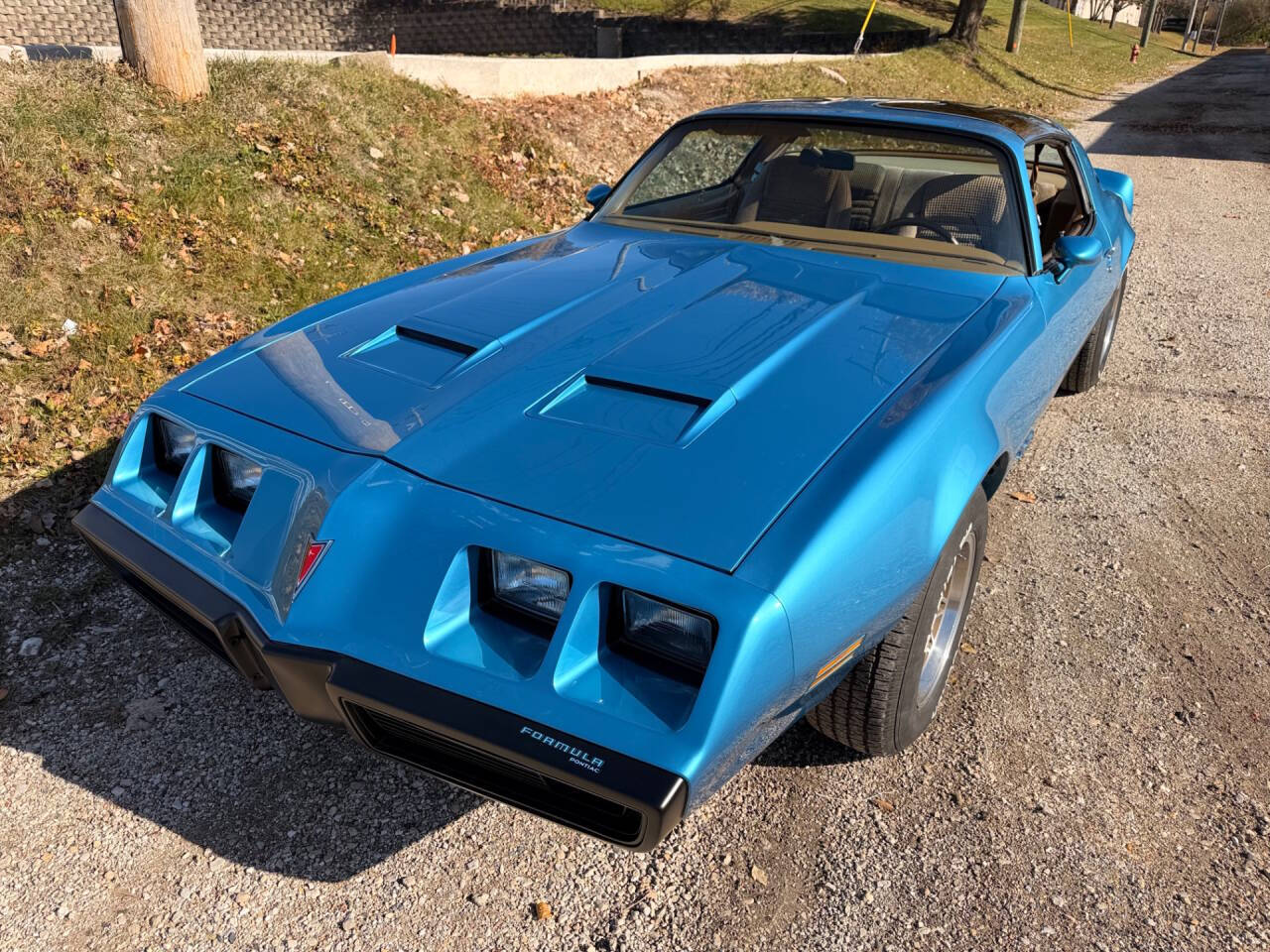 1979 Pontiac Firebird 26