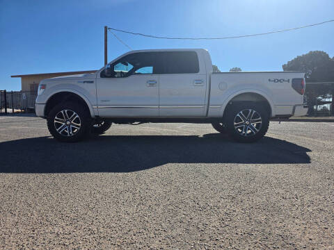 2013 Ford F-150 Platinum