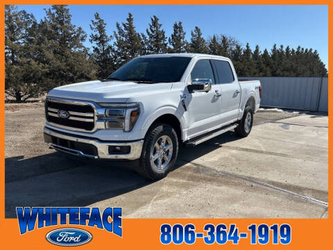 2025 Ford F-150 for sale at Whiteface Ford in Hereford TX