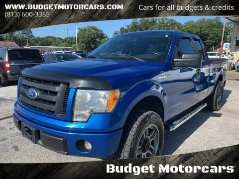 2010 Ford F-150 for sale at Budget Motorcars in Tampa FL