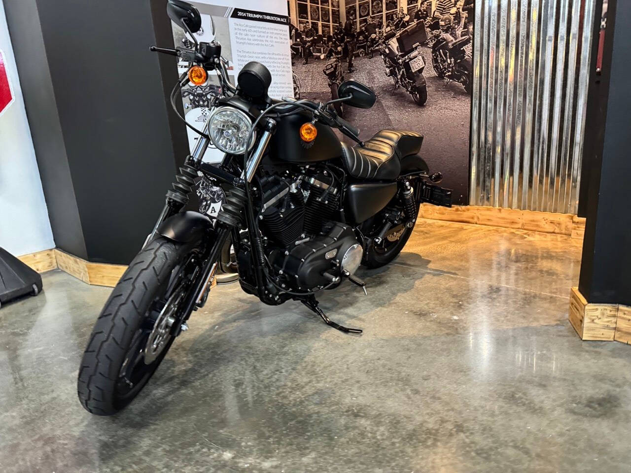 2022 Harley-Davidson XL 883 Sportster for sale at TEXAS MOTORS POWERSPORT in ORLANDO, FL