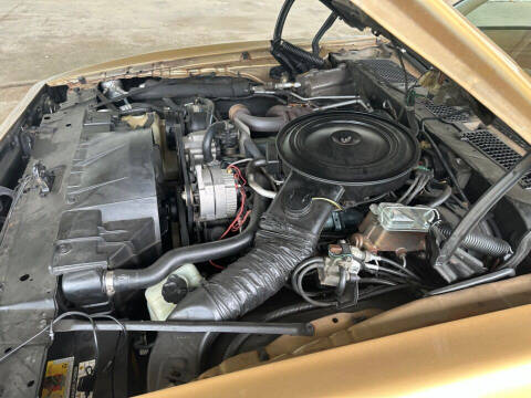 1980 Pontiac Firebird Trans Am