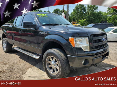 2013 Ford F-150 for sale at Gallo's Auto Sales in North Bloomfield OH