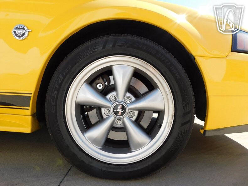 2004 Ford Mustang Mach 1 Premium
