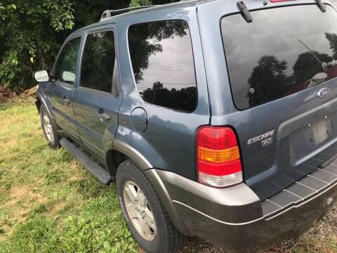 2005 Ford Escape for sale at Fayes Auto Sales in Columbus OH