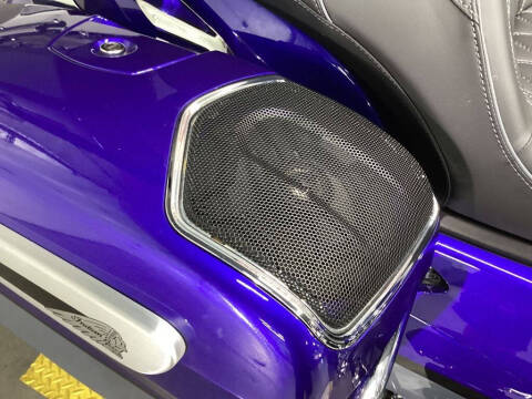 2024 Indian Pursuit Limited wi