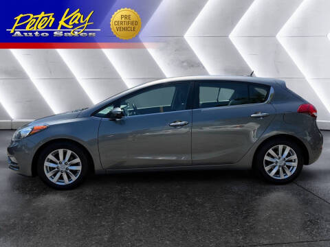 2015 Kia Forte5 EX