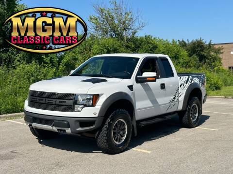 2010 Ford F-150 for sale at MGM CLASSIC CARS in Addison IL