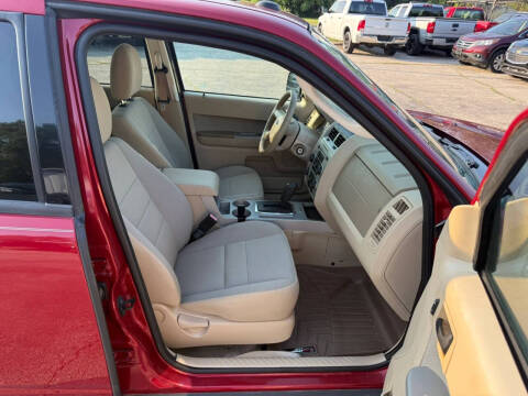 2011 Ford Escape XLT