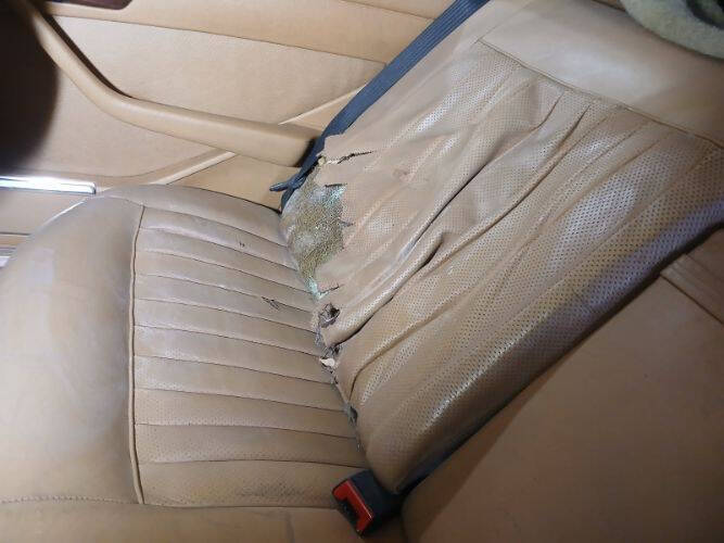 1983 Mercedes-Benz 300-Class