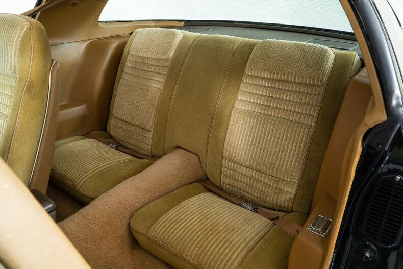 1981 Pontiac Trans Am