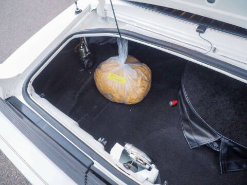 1981 Pontiac Firebird Trans Am